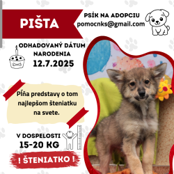 PIŠTA