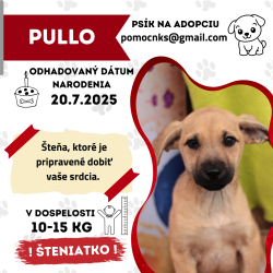 PULLO