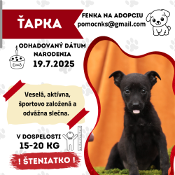 ŤAPKA