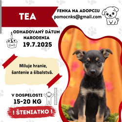TEA