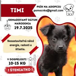 TIMI