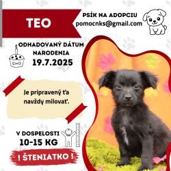 TEO