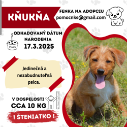 KŇUKŇA