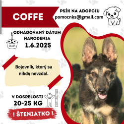 COFFE