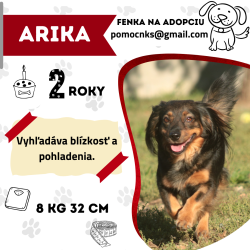 ARIKA