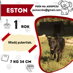ESTON
