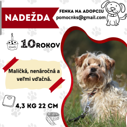NADEŽDA