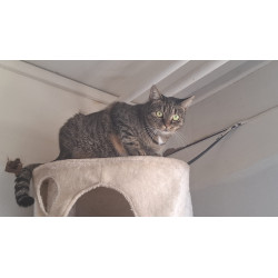 MIA