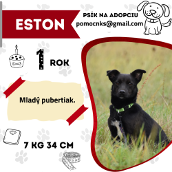 ESTON
