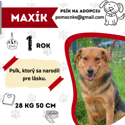 MAXÍK