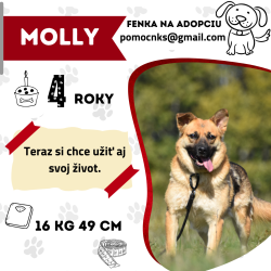 MOLLY