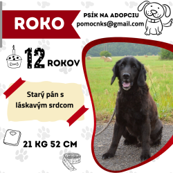 ROKO