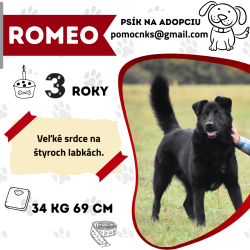 ROMEO