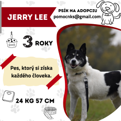 JERRY LEE