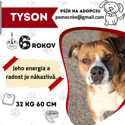TYSON