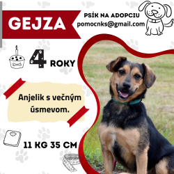 GEJZA
