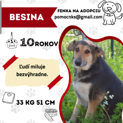 BESINA
