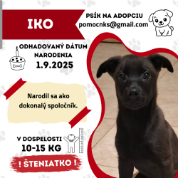 IKO